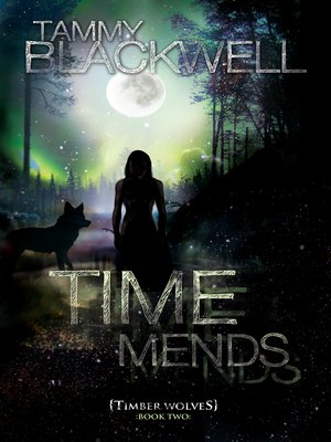 cover image of Time Mends